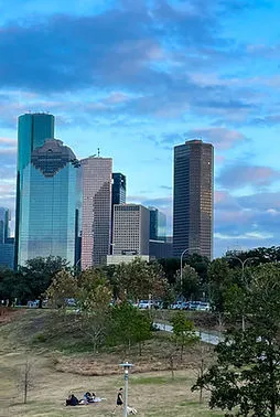 Dallas city view