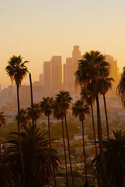 Los Angeles city view