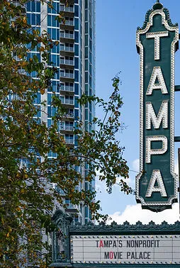 Tampa city view